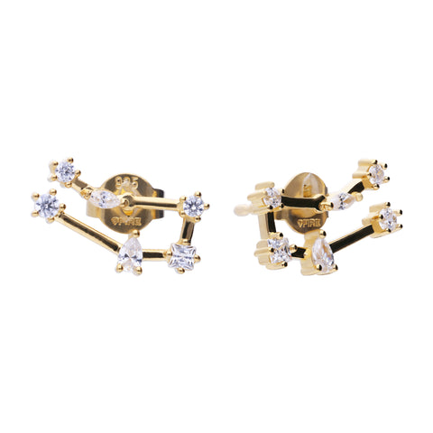 Gemini earrings