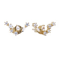 Pisces earrings